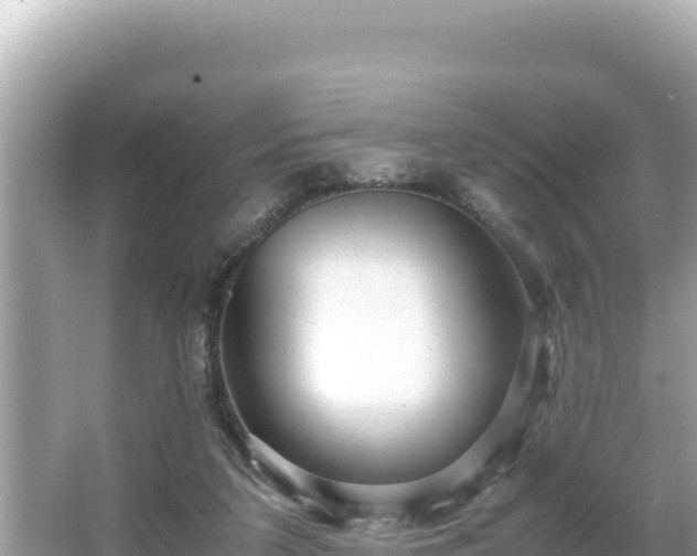 X0000066020211200603101631