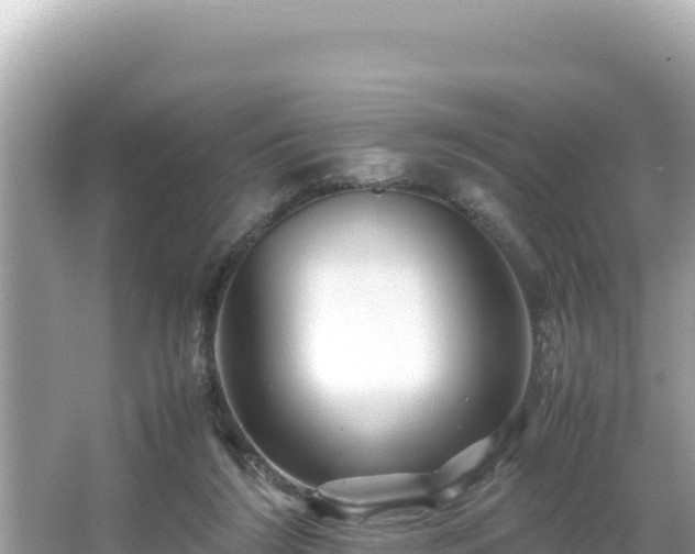 X0000066020212200603101631