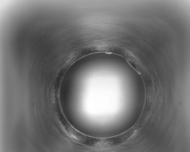 X0000066020213200603101631