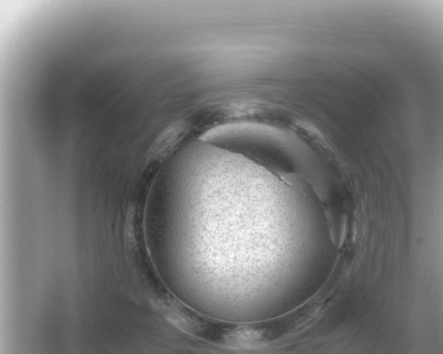 X0000066020217200603101631