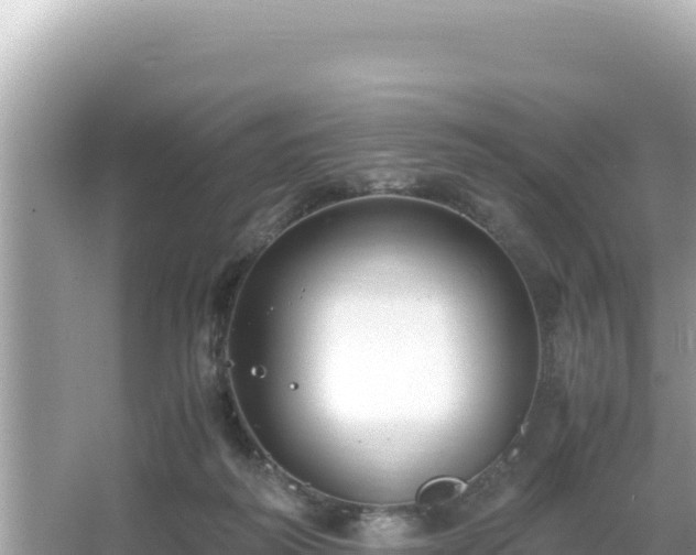 X0000066020218200603101631