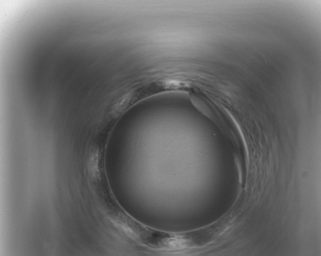 X0000066020219200603101631