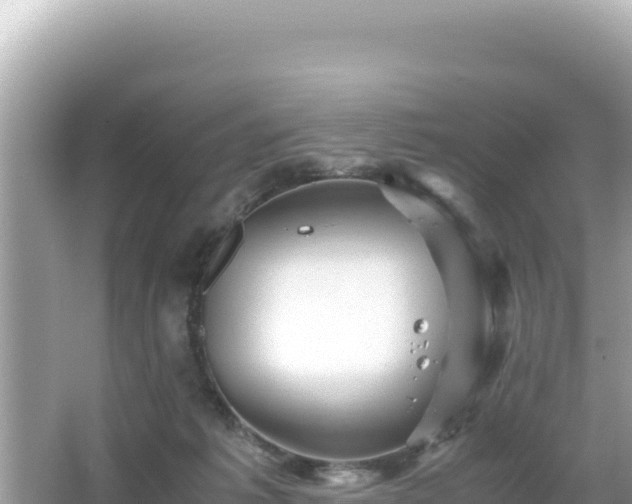 X0000066020221200603101631