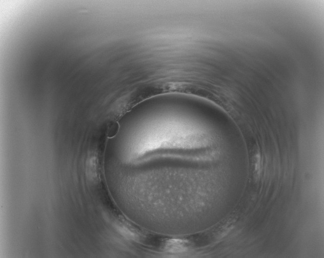 X0000066020222200603101631