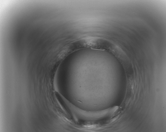 X0000066020223200603101631