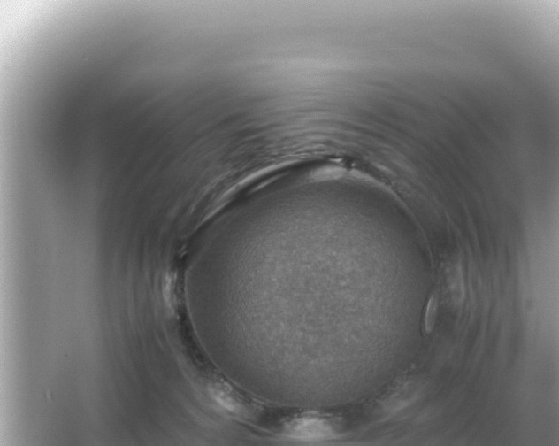 X0000066020224200603101631