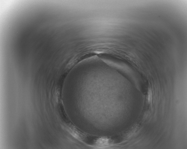 X0000066020227200603101631