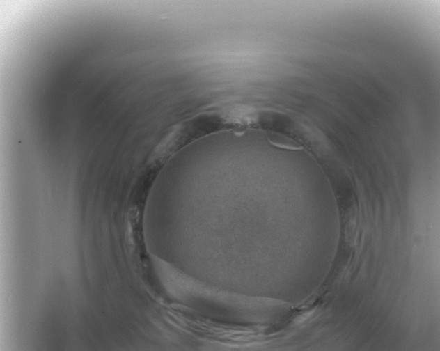 X0000066020229200603101631