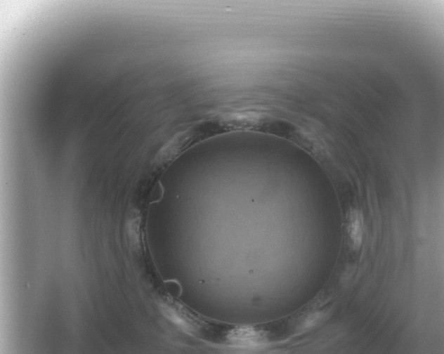 X0000066020231200603101631