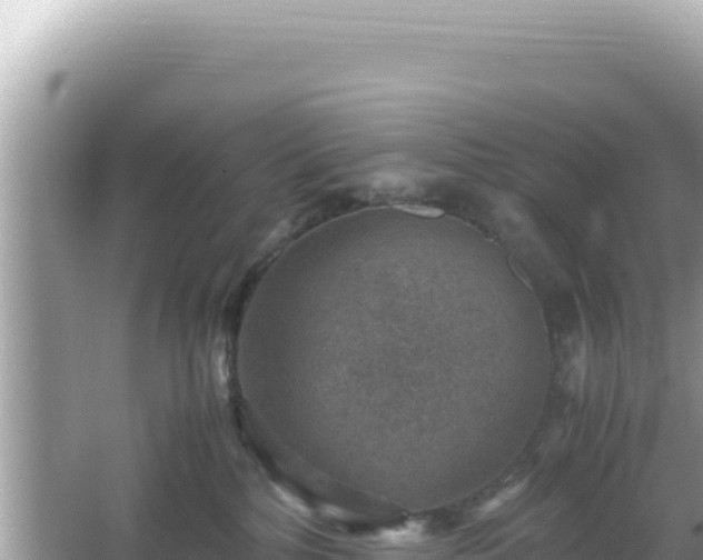 X0000066020232200603101631