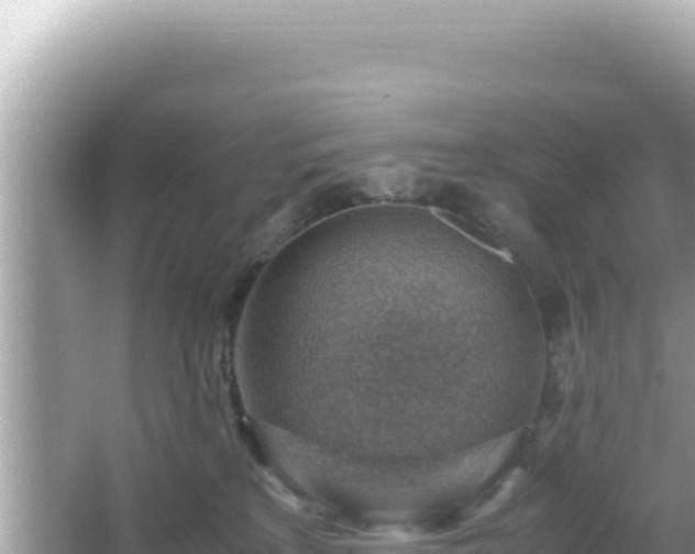 X0000066020233200603101631