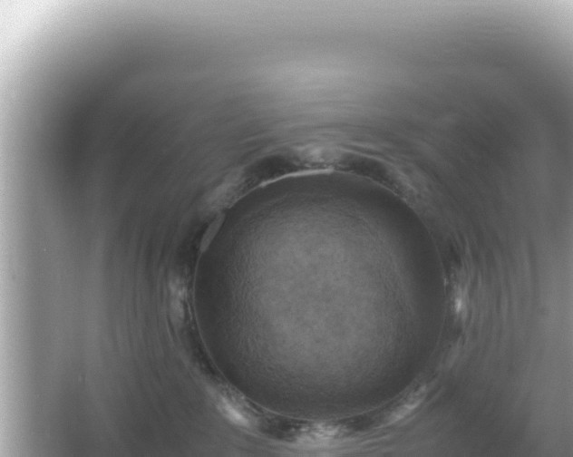 X0000066020235200603101631