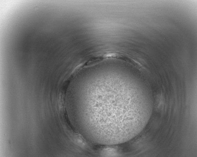 X0000066020236200603101631