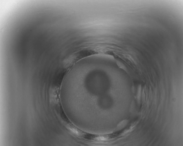 X0000066020237200603101631