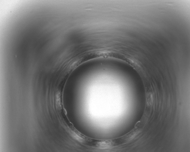 X0000066020238200603101631