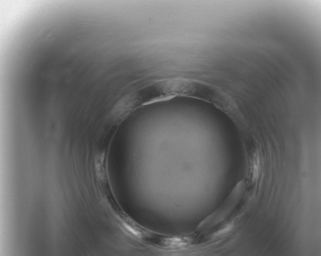 X0000066020239200603101631