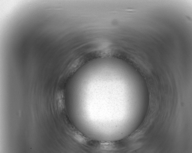 X0000066020240200603101631