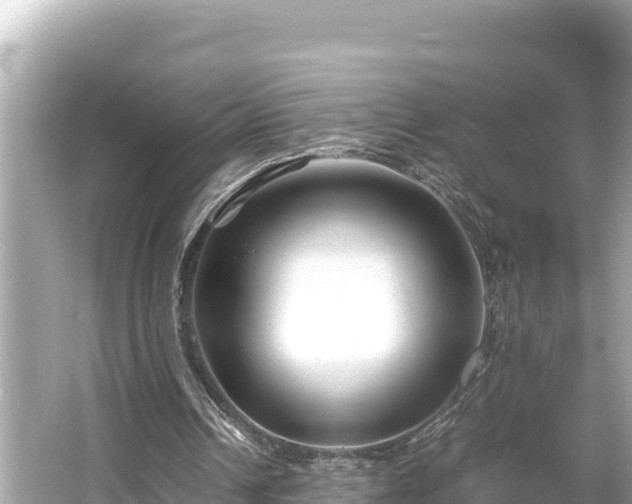 X0000066020242200603101630