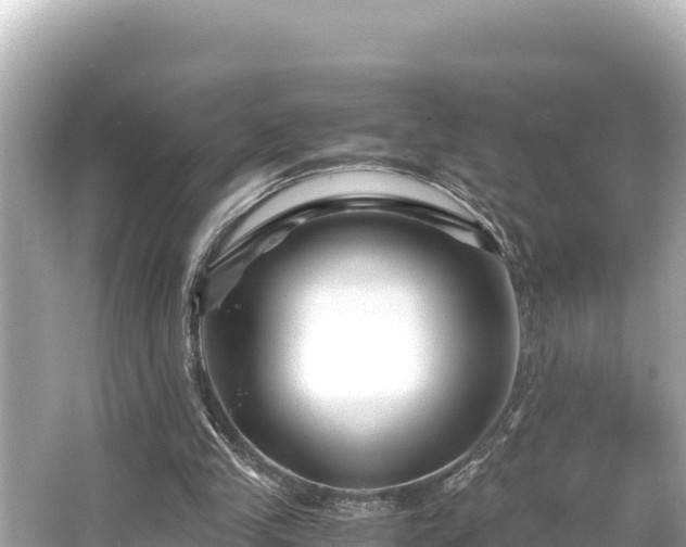 X0000066020245200603101630