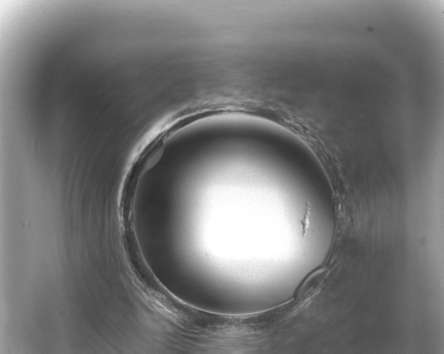 X0000066020246200603101630