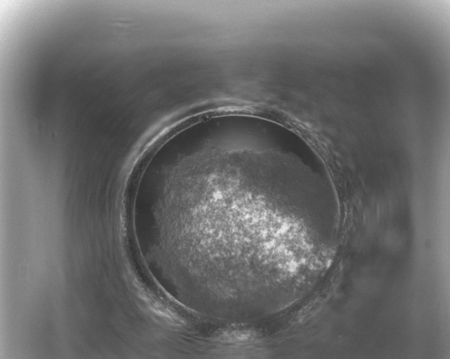 X0000066020247200603101630