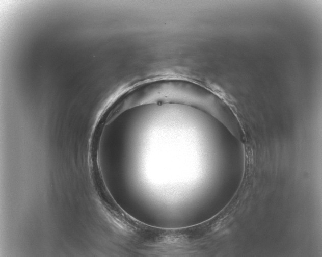 X0000066020248200603101630