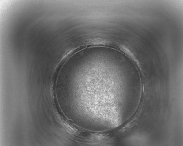 X0000066020249200603101630