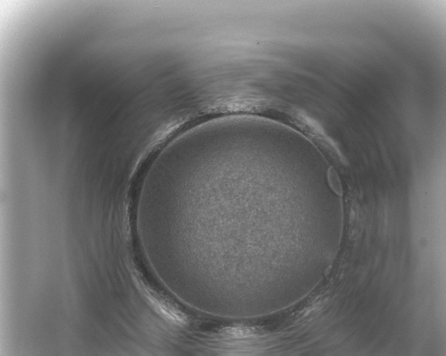 X0000066020250200603101630