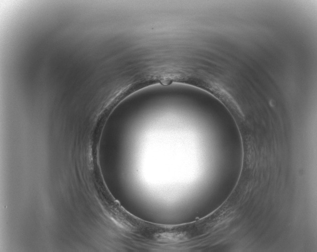 X0000066020251200603101630