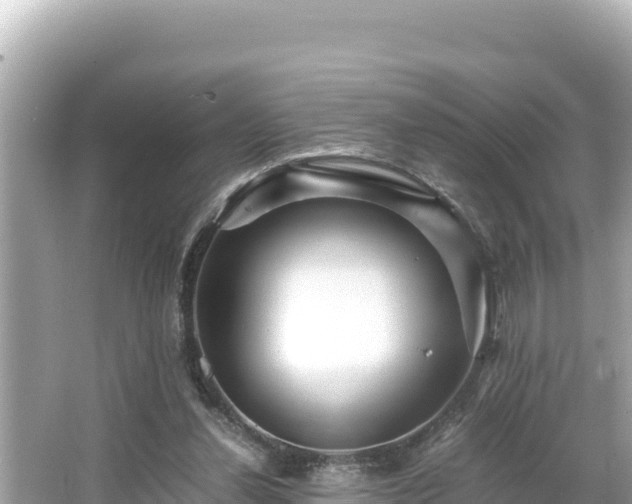 X0000066020252200603101630