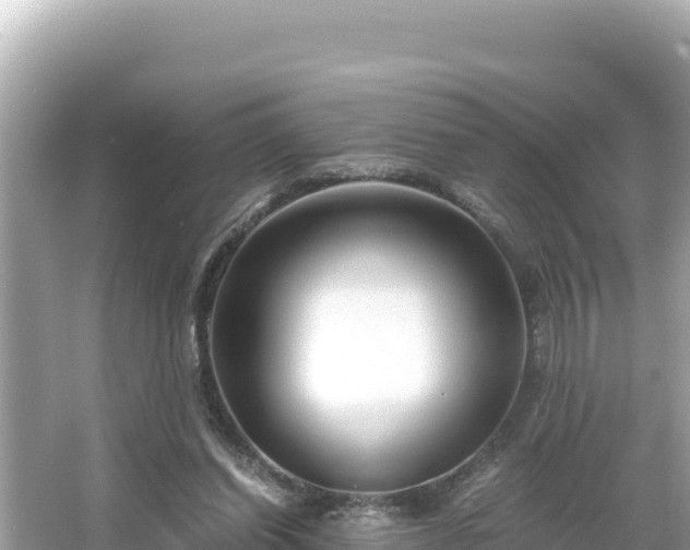 X0000066020254200603101630