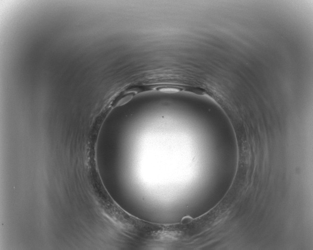 X0000066020255200603101630