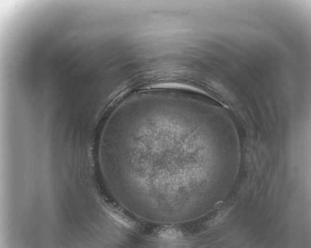 X0000066020258200603101630