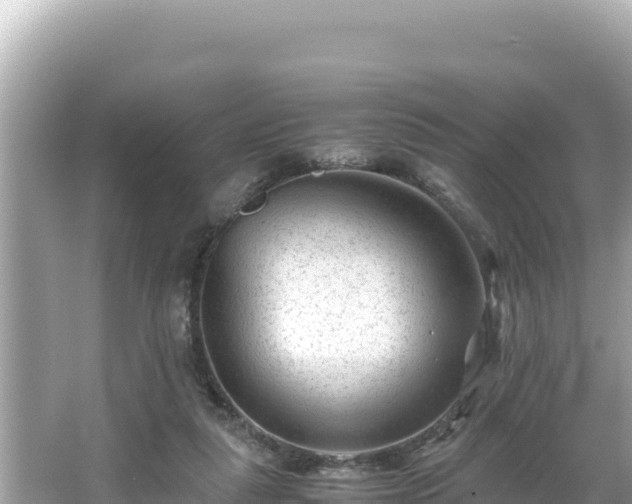 X0000066020259200603101630