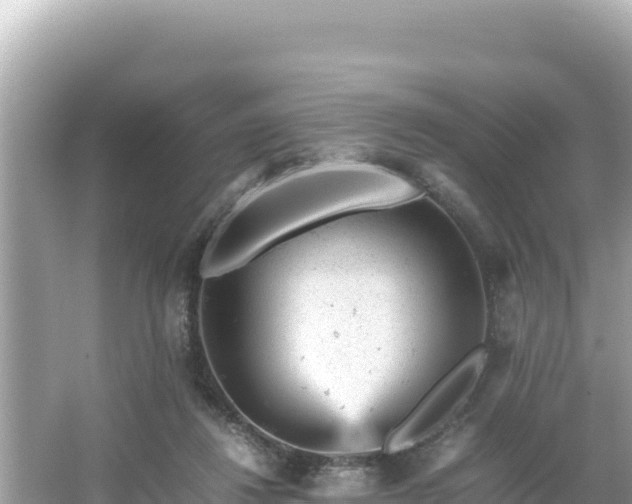 X0000066020260200603101630