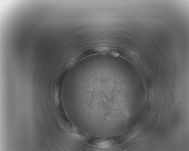 X0000066020267200603101630