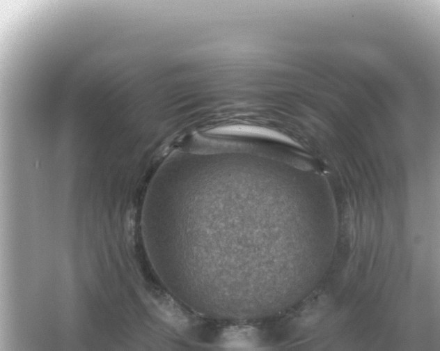 X0000066020271200603101630