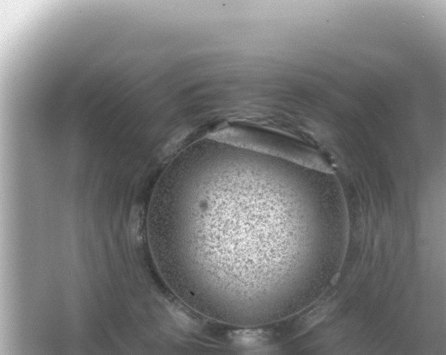 X0000066020273200603101630