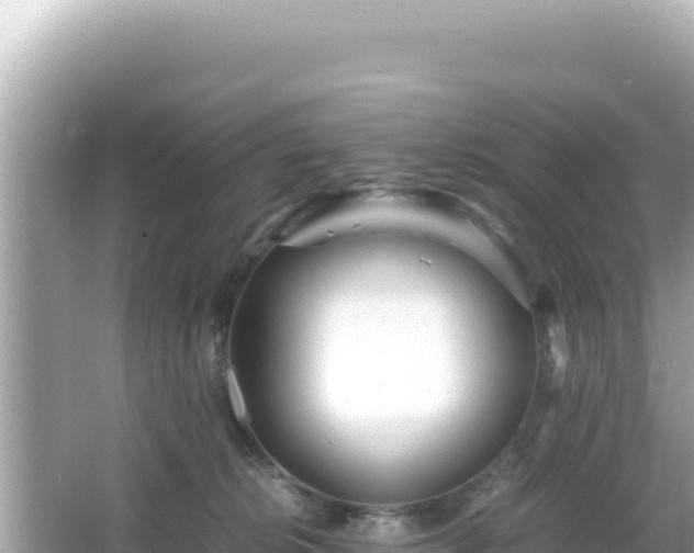 X0000066020276200603101630