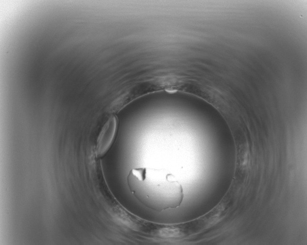 X0000066020279200603101630