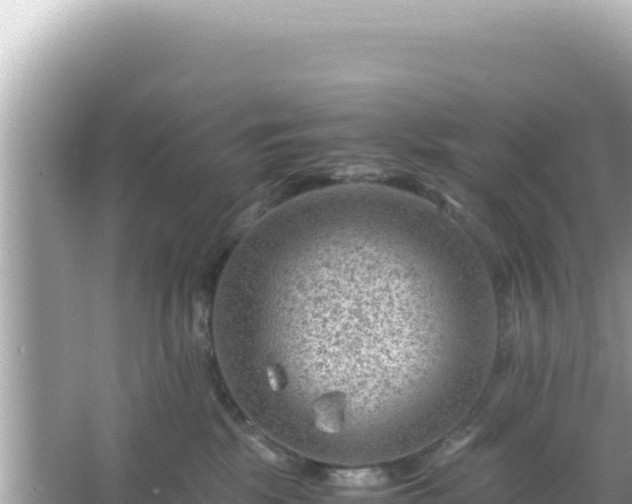 X0000066020281200603101630