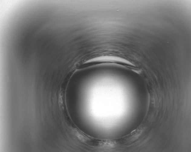 X0000066020282200603101630