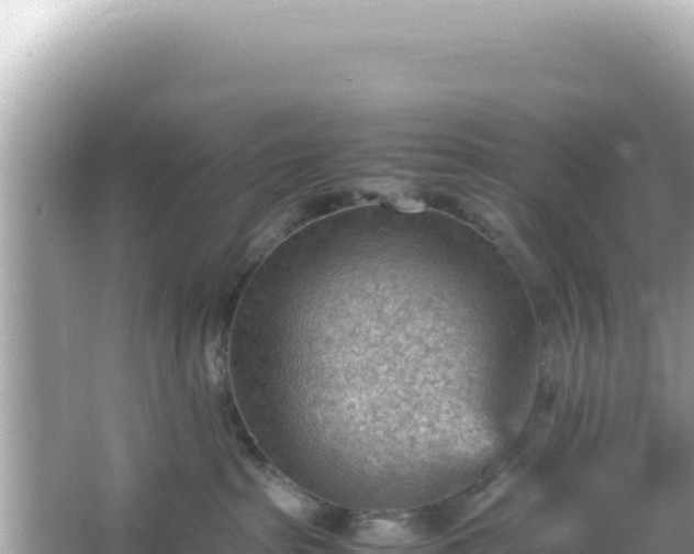 X0000066020285200603101631