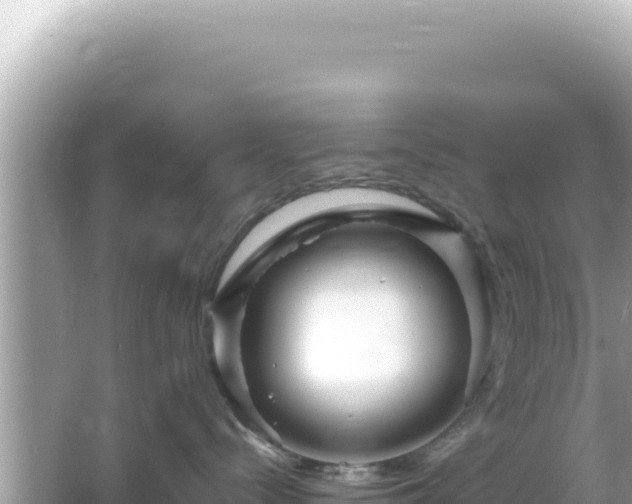 X0000066020288200603101631