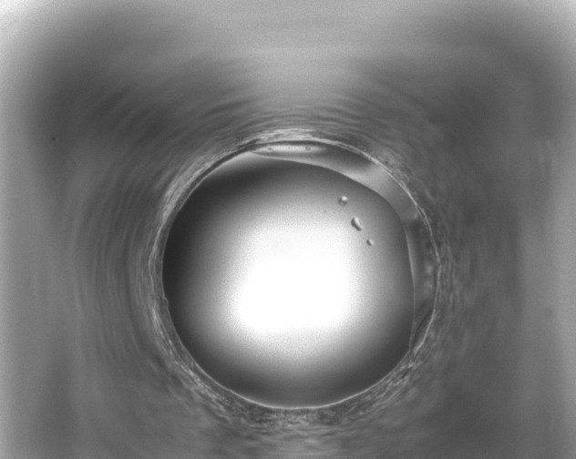 X0000066020289200603101630