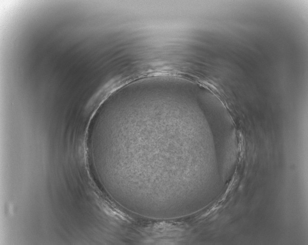 X0000066020290200603101630