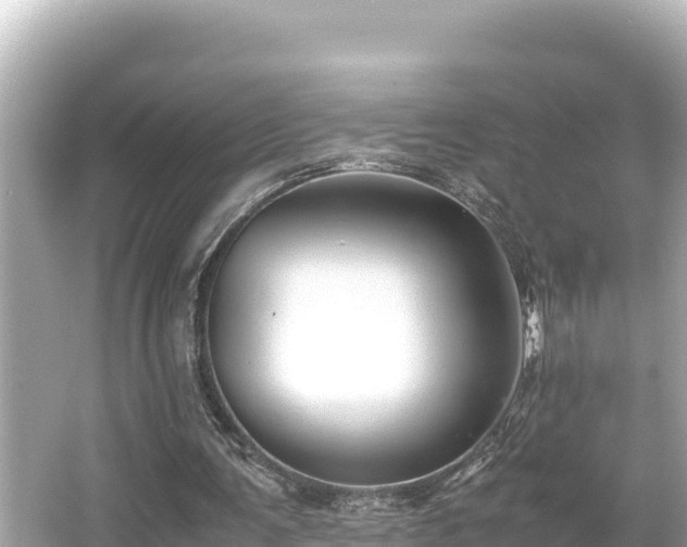 X0000066020291200603101630