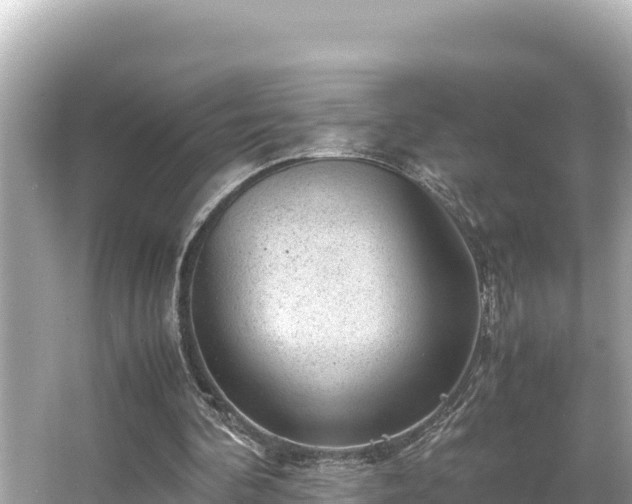 X0000066020292200603101630