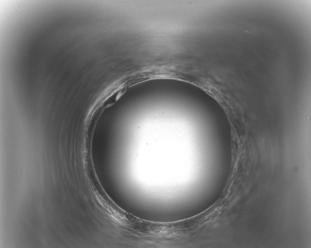 X0000066020293200603101630