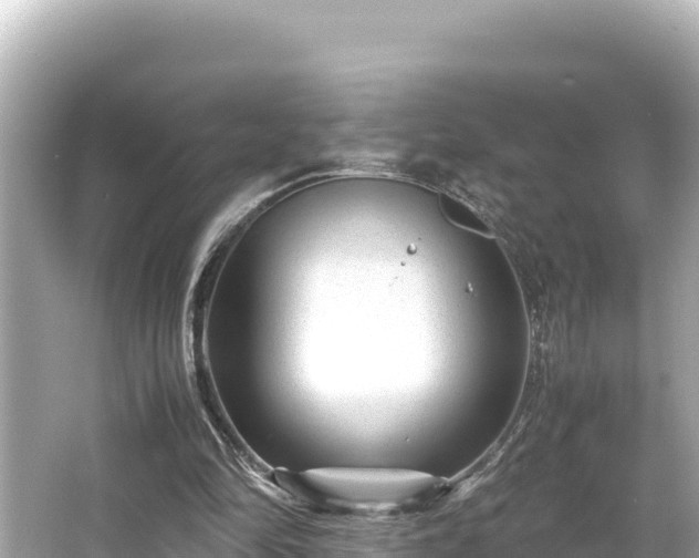 X0000066020294200603101630